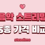 스포티파이, 애플뮤직, 멜론, 지니뮤직, 플로 등 음악 스트리밍 서비스 5종 가격 및 특징 비교표