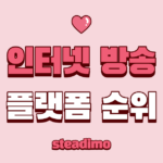 최신 인터넷 방송 플랫폼 순위 및 비교 (숲, 치지직, 유튜브)