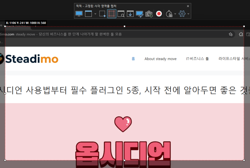 픽픽 툴바 설명4